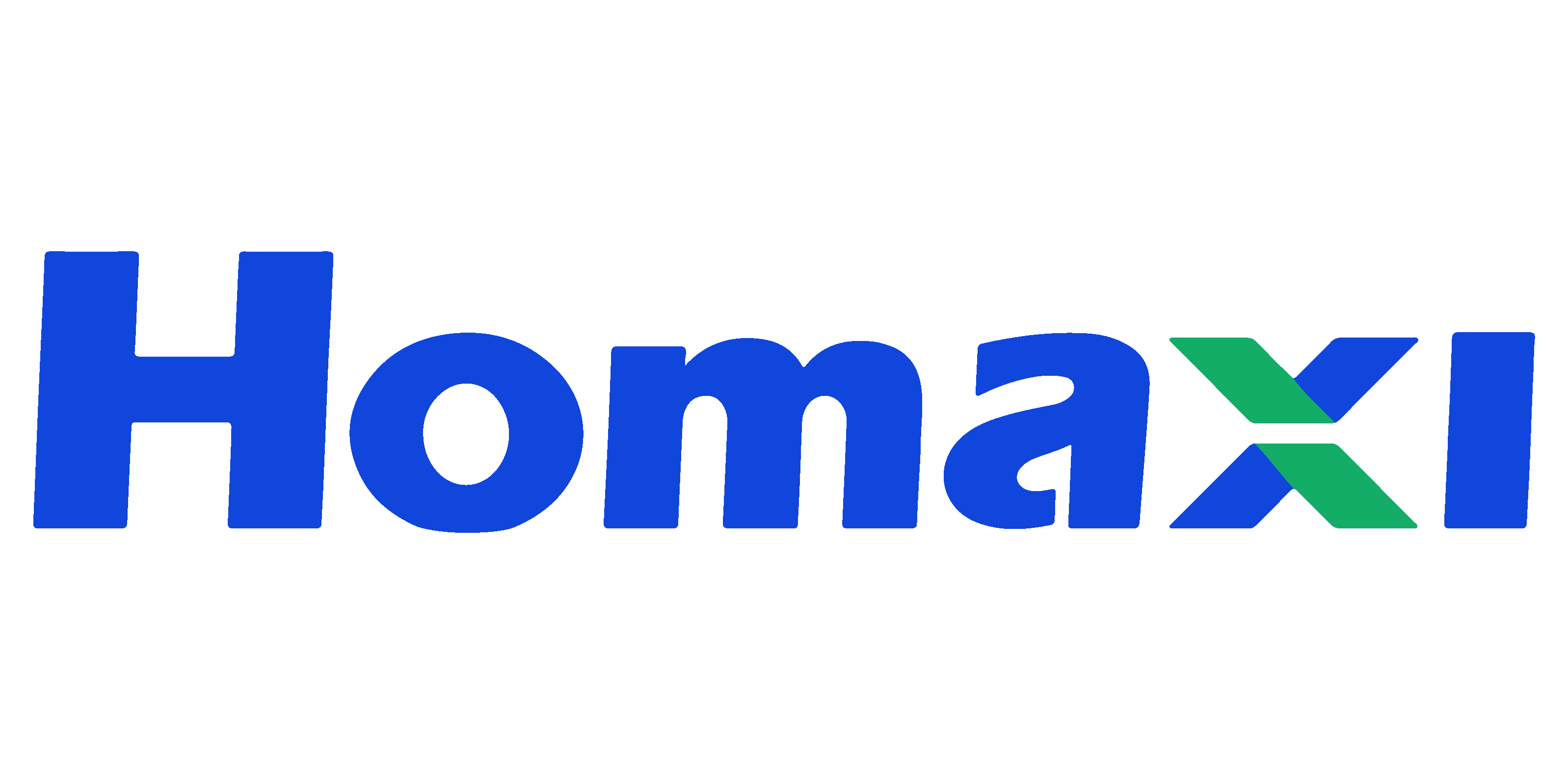Homaxi logo